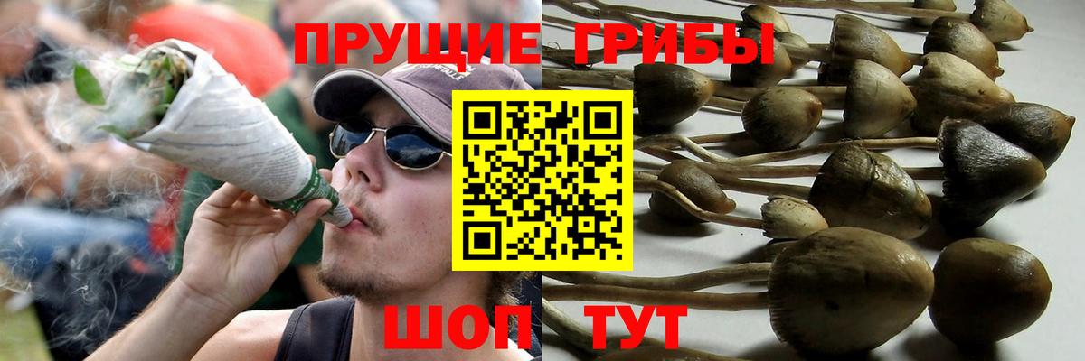 Псилоцибиновые грибы Magic Shrooms  Галлюциногенные грибы Psilocybine cubensis  Вход с VPN  Красноперекопск 